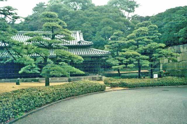 сад при императорском дворце в Токио