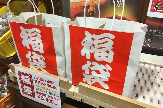 счастливые сумки fukubukuro 