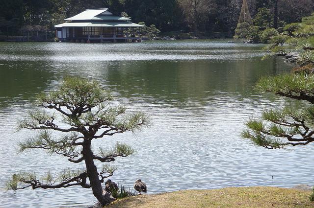 Традиционный японский сад Киесуми Kiyosumi